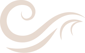 Flower Vector